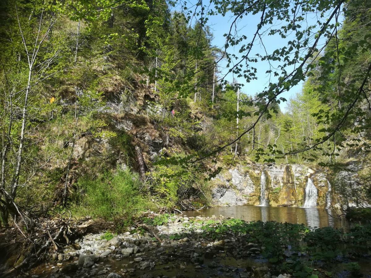 Berghof Gaming Exterior foto
