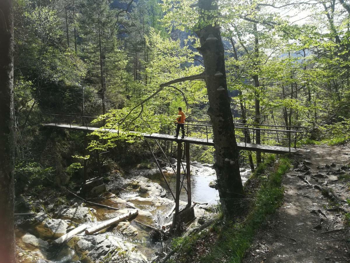 Berghof Gaming Exterior foto